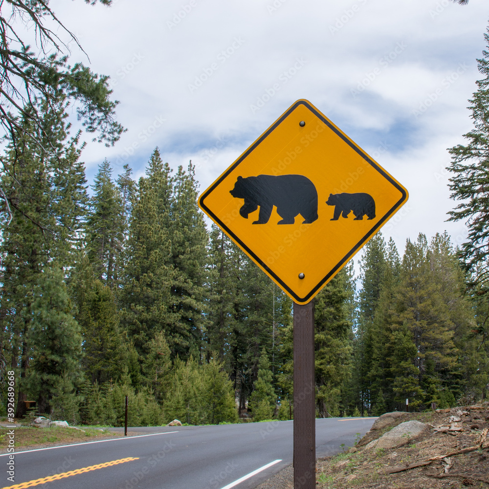 Bear Crossing Sign - road in Yosemtite